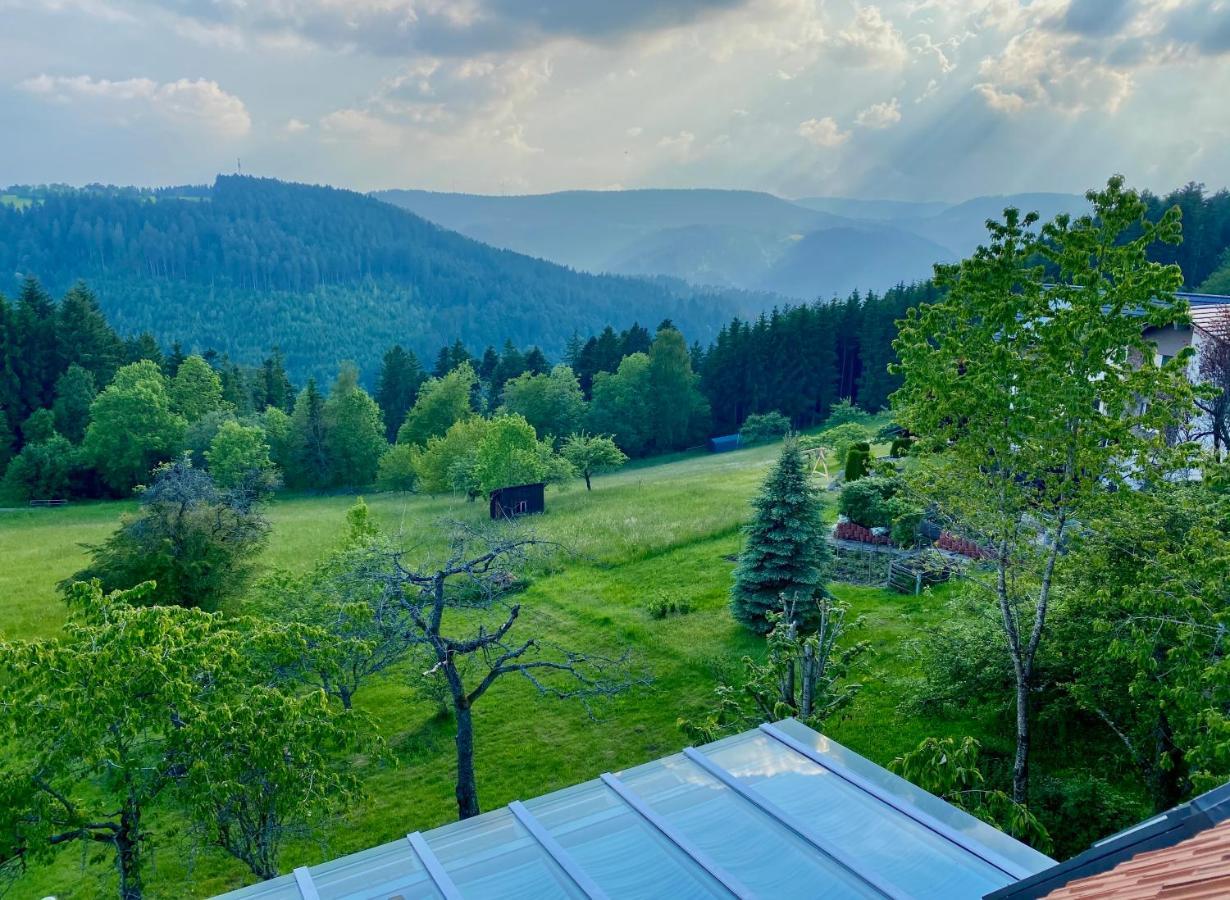 Ferienhaus Mit 5* Luxus Im Schwarzwald Gemeinde Gemeinde Aichhalden Exteriör bild